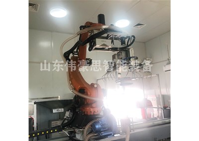 豆粕全自動拆垛設(shè)備 拆垛機械手非標定制