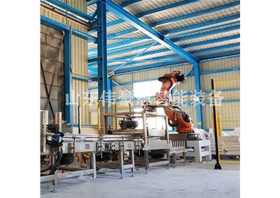 催化劑包裝碼垛系統(tǒng) 袋料智能碼垛機(jī)器人