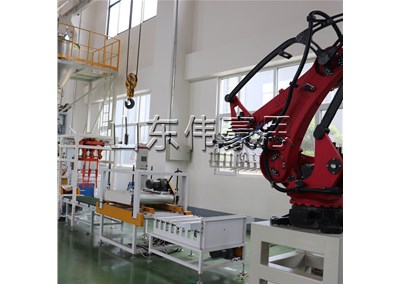 復(fù)合肥自動包裝碼垛線 碼垛機(jī)器人非標(biāo)定制