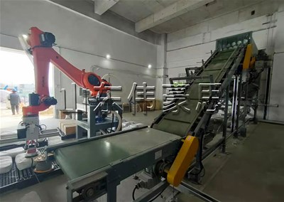 添加劑自動(dòng)拆垛機(jī)器人 全自動(dòng)拆垛拆包線
